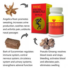 TOUKU Natural Herbal Rheumatic Pills