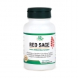 Red Sage Salvia Miltiorrhiza Complex